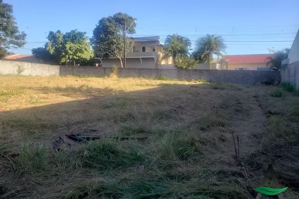 Arapongas - Terreno - Jardim Panorama - Foto 2