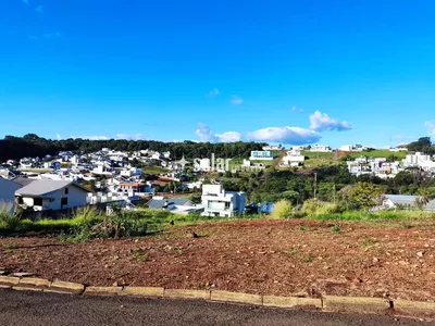 TERRENO R ITAPUA B VILA ISABEL - Foto 2