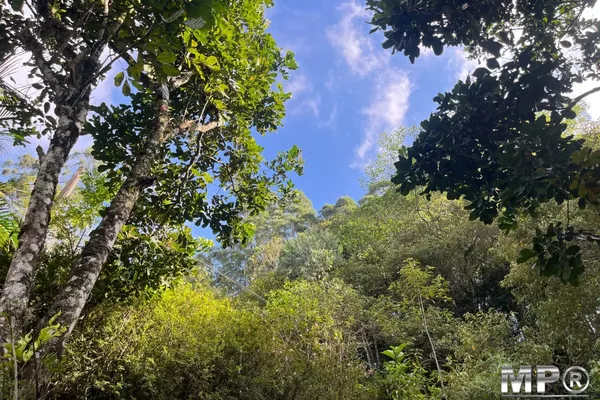 Sítio com 20 mil metros,  Lumiar, Nova Friburgo - Foto 4