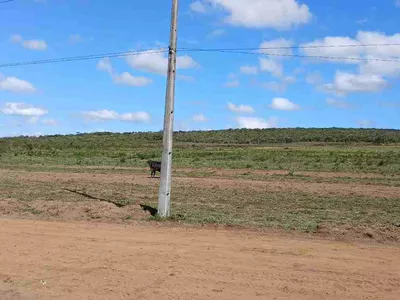 Lote à Venda com área 8 mil metros quadrados na Rodovia Barra do Choça, Estiva , Vitória da Con - Foto 8