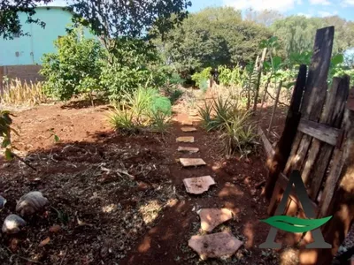 Congonhas - Terreno - Centro - Foto 8