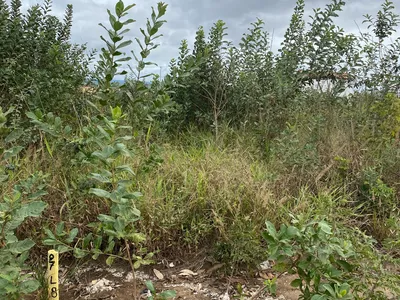 Lote escriturado à Venda, Primavera, Vitória da Conquista, BA - Foto 5
