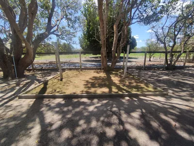 Sítio a venda na Lagoa das Flores com 2 casas, árvores frutíferas, poço artesiano, irrigação, - Foto 10