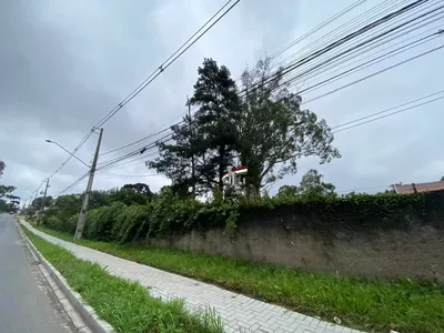 Terreno/chácara para venda no Tatuquara/Campo do Santana com 10.000m² Curitiba - Foto 8