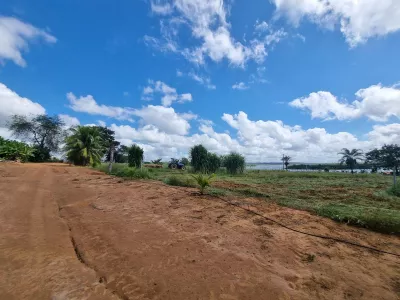 Excelente Sítio à Venda em Caraíbas – 3 Hectares, Casa e Estrutura Completa – Água em Abund? - Foto 28