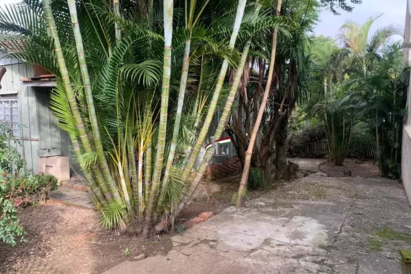 Terreno para venda com 526m²,  Novo Mundo, Curitiba - Foto 5