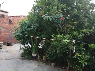 Oportunidade Imperdível! Casa com 110m² à Venda em Ouro Verde – Barra do Choça - Foto 7