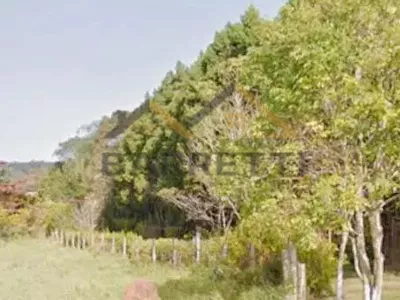 Terreno de 5.780 m² à venda em Artemis - Foto 10
