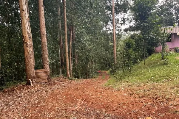 Chácara com 04 Alqueires para venda a 6km do PB Shopping em Pato Branco - Foto 6