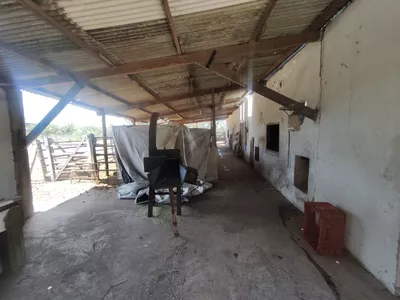 Sítio a venda na Lagoa das Flores com 2 casas, árvores frutíferas, poço artesiano, irrigação, - Foto 19