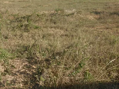 Terreno de 1000 m² 20 x 50 à Venda, entre as avenidas Gilenilda Alves e Larissa Cavalcante no Alt - Foto 6