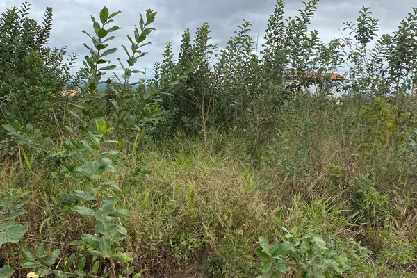 Lote escriturado à Venda, Primavera, Vitória da Conquista, BA - Foto 6