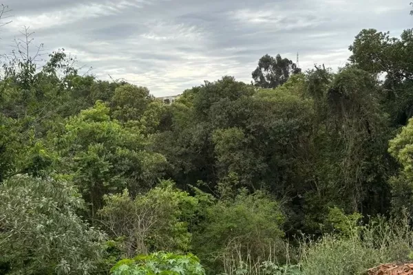 Terreno Grande para venda, Rua Augusto Redivo Fraron, Pato Branco-pr - Foto 5