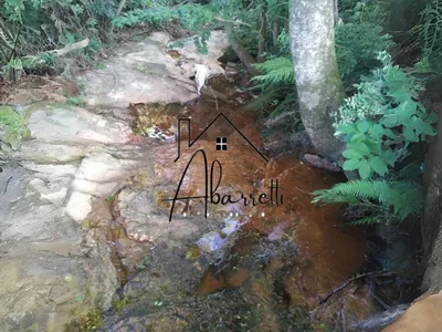 Sítio à venda com 25.509 m² em Manduca Coelho - Foto 7