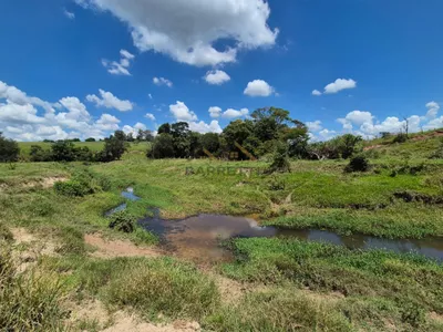 Sítio de 6,6 hectares com água, solo fértil e alto potencial produtivo à venda no Manduca Coelho - Foto 32