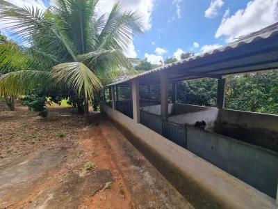 Excelente Sítio à Venda em Caraíbas – 3 Hectares, Casa e Estrutura Completa – Água em Abund? - Foto 25