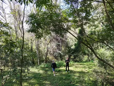 Terreno para venda,  CônegoVillaGhandi, Nova Friburgo - Foto 10