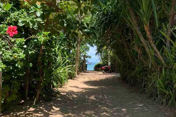 Casa, terreno à Venda Em Barra Grande, Vila, Maraú, BA - Foto 6