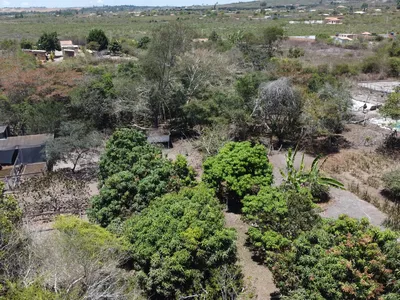 Sítio a venda na Lagoa das Flores com 2 casas, árvores frutíferas, poço artesiano, irrigação, - Foto 35