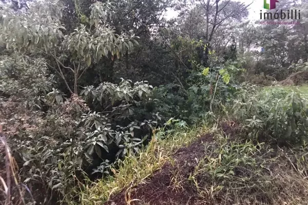 Terreno com fundos para Reserva - Foto 5