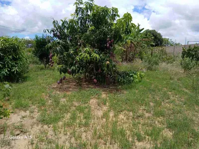 Sítio à Venda, zona Rural , São Sebastião do Passé, BA - Foto 21