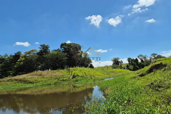 Sítio de 6,6 hectares com água, solo fértil e alto potencial produtivo à venda no Manduca Coelho - Foto 4