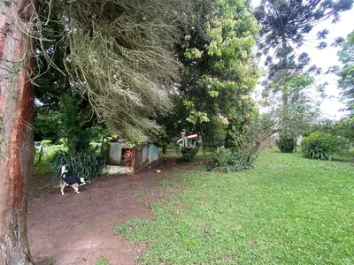 Terreno/chácara para venda no Tatuquara/Campo do Santana com 10.000m² Curitiba - Foto 39