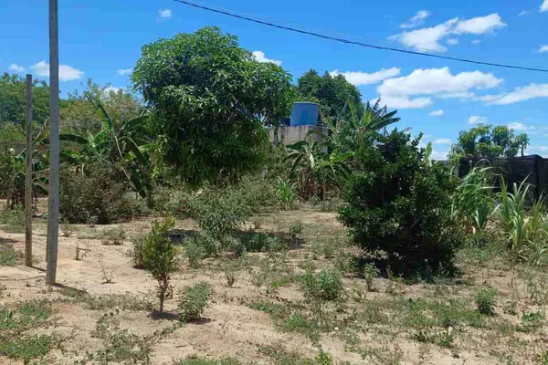 Sítio à Venda, zona Rural , São Sebastião do Passé, BA - Foto 4