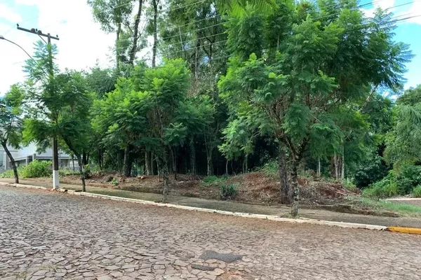 Terreno para venda - Foto 3