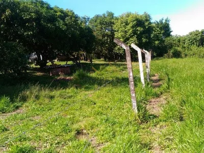 Terreno à venda de 1.500m² no Condomínio Recanto dos Pássaros, em Tupi - Foto 5