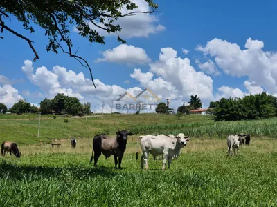 Sítio de 6,6 hectares com água, solo fértil e alto potencial produtivo à venda no Manduca Coelho - Foto 21