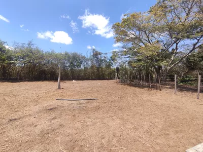 Sítio a venda na Lagoa das Flores com 2 casas, árvores frutíferas, poço artesiano, irrigação, - Foto 21