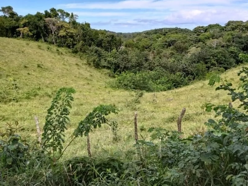 Chácara à venda, Nova Abrantes (Abrantes), Camaçari, BA - Foto Principal