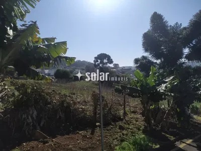 TERRENO AMPLO R SAUL VIGANO B AEROPORTO - Foto 6