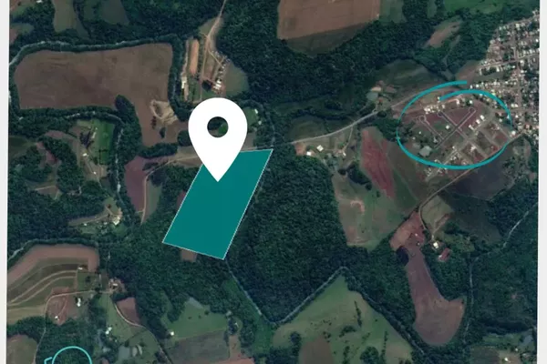 ÁREA DE TERRAS PARA VENDA - Foto 1