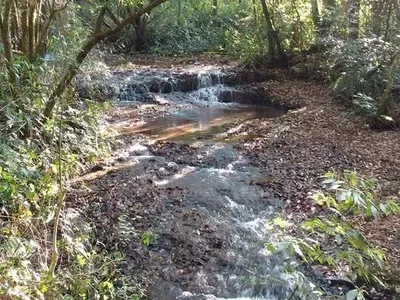 Chácara com 04 Alqueires para venda a 6km do PB Shopping em Pato Branco - Foto 14