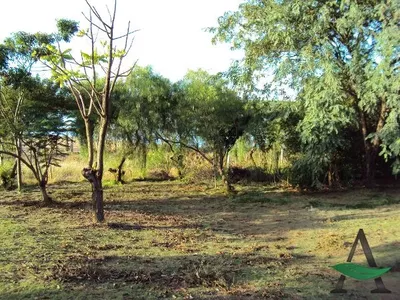 Paranagi - Rural  Chácara - Centro - Foto 18