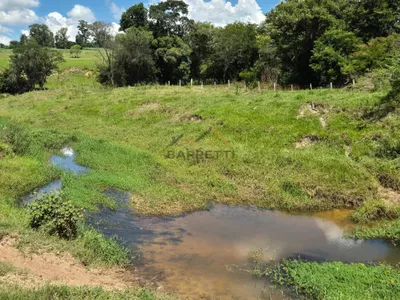 Sítio de 6,6 hectares com água, solo fértil e alto potencial produtivo à venda no Manduca Coelho - Foto 31
