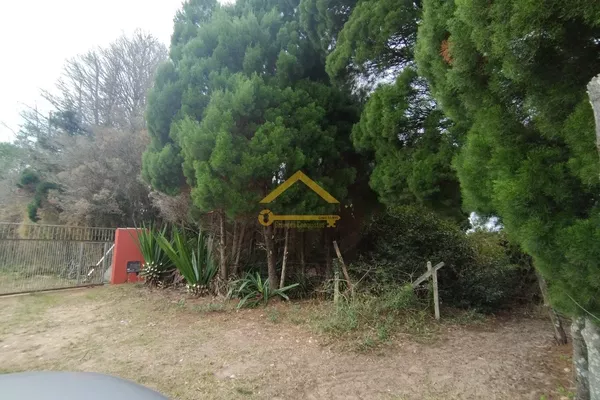 Casa a Venda,  Rio Vermelho, Florianópolis - Foto 4
