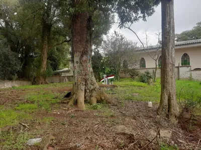 Terreno à venda – Bairro Iguaçu | Fazenda Rio Grande – 849m² – Oportunidade para investimento - Foto 9