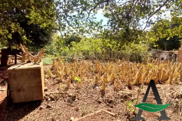 Congonhas - Terreno - Centro - Foto 6