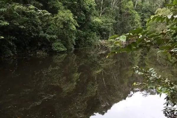 Chácara à venda, Nova Abrantes (Abrantes), Camaçari, BA - Foto 3