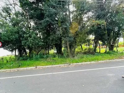 Terreno para venda no Bairro  Vila Isabel em Pato Branco-PR - Foto 3