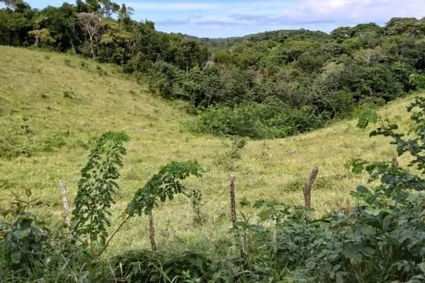 Chácara à venda, Nova Abrantes (Abrantes), Camaçari, BA - Foto 1