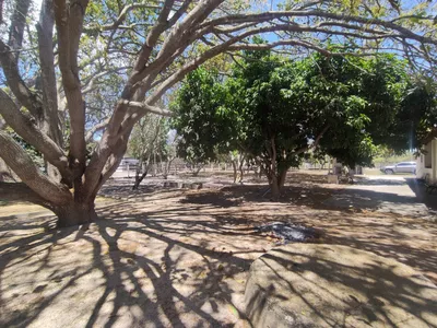 Sítio a venda na Lagoa das Flores com 2 casas, árvores frutíferas, poço artesiano, irrigação, - Foto 11
