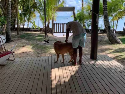 Casa, terreno à Venda Em Barra Grande, Vila, Maraú, BA - Foto 7