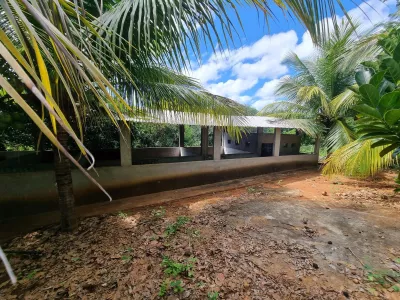 Excelente Sítio à Venda em Caraíbas – 3 Hectares, Casa e Estrutura Completa – Água em Abund? - Foto 40