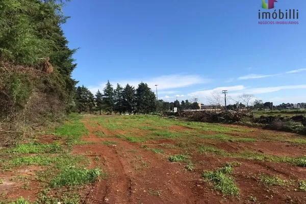 Terreno na PR 280, Trevo p/ Pato Branco com 45.454 - Foto 5