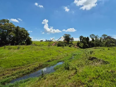 Sítio de 6,6 hectares com água, solo fértil e alto potencial produtivo à venda no Manduca Coelho - Foto 28