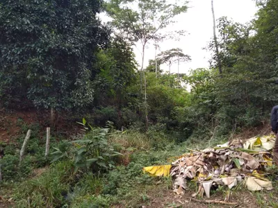 Fazenda 13,5 Hactare à Venda, Pau Brasil , Barra do Choça, BA - Foto 4
